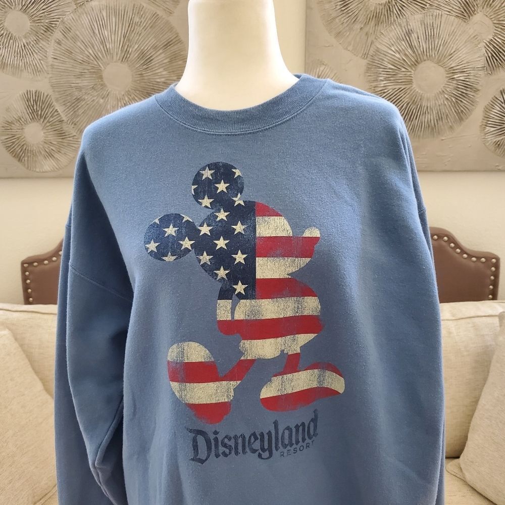 Disneyland By Hanes Crewneck Sweatshirt Sz Lg - Picture 3 of 11